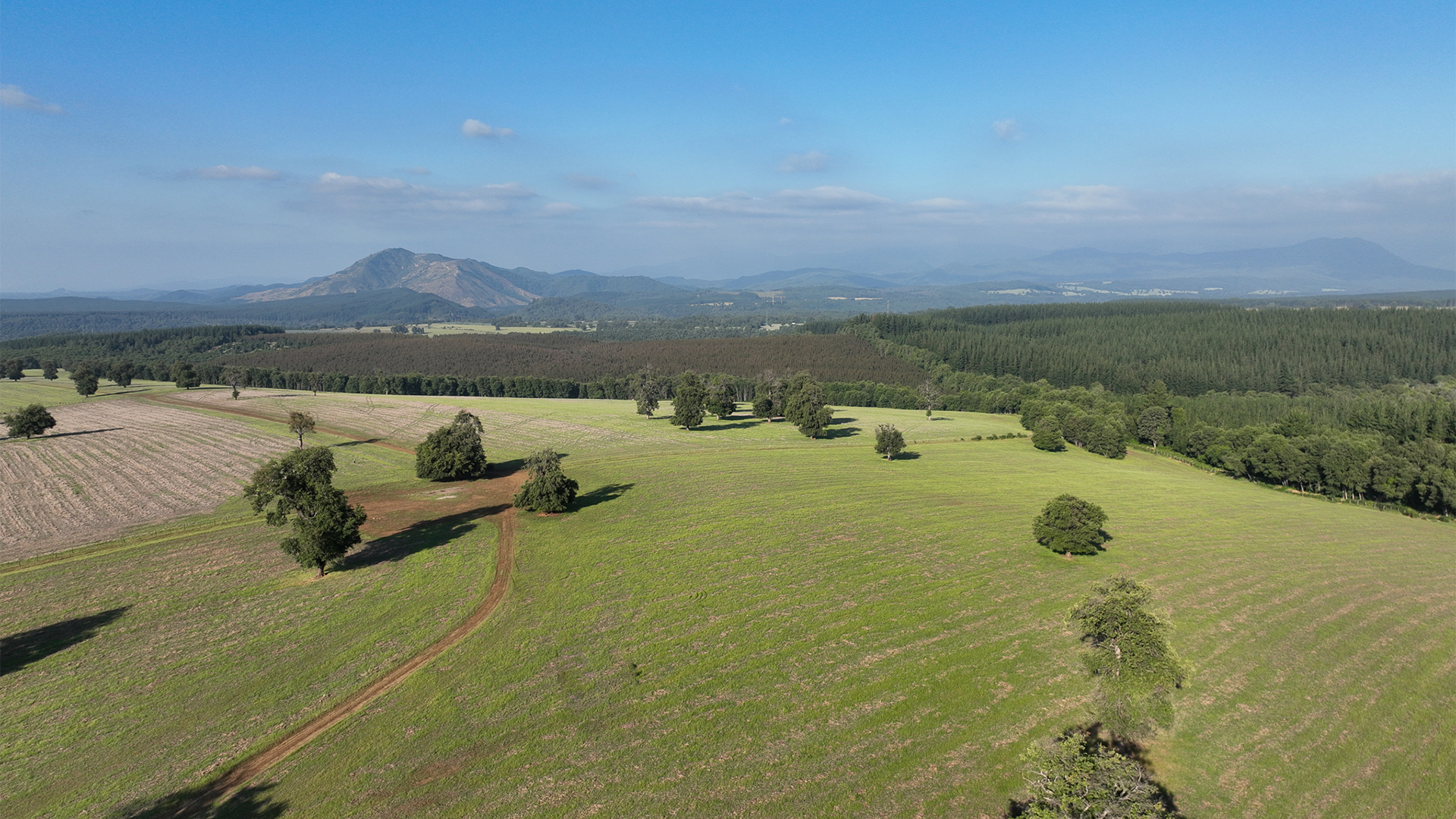 Hacienda La Gran Reserva